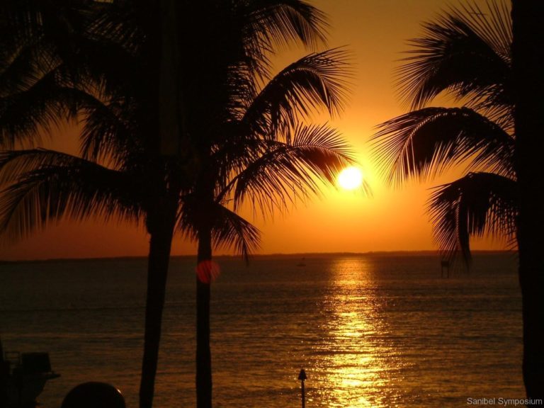 Perfusion.com Sanibel Conference - April 27-30, 2022 - ThermaSolutions Perfusion.com Sanibel Conference - April 27-30, 2022 - ThermaSolutions